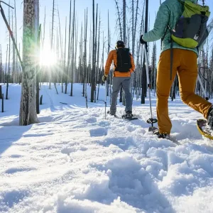 naturzeit Schneeschuh-Rundtour - Vom Rinken zum Feldberg Neue Ware